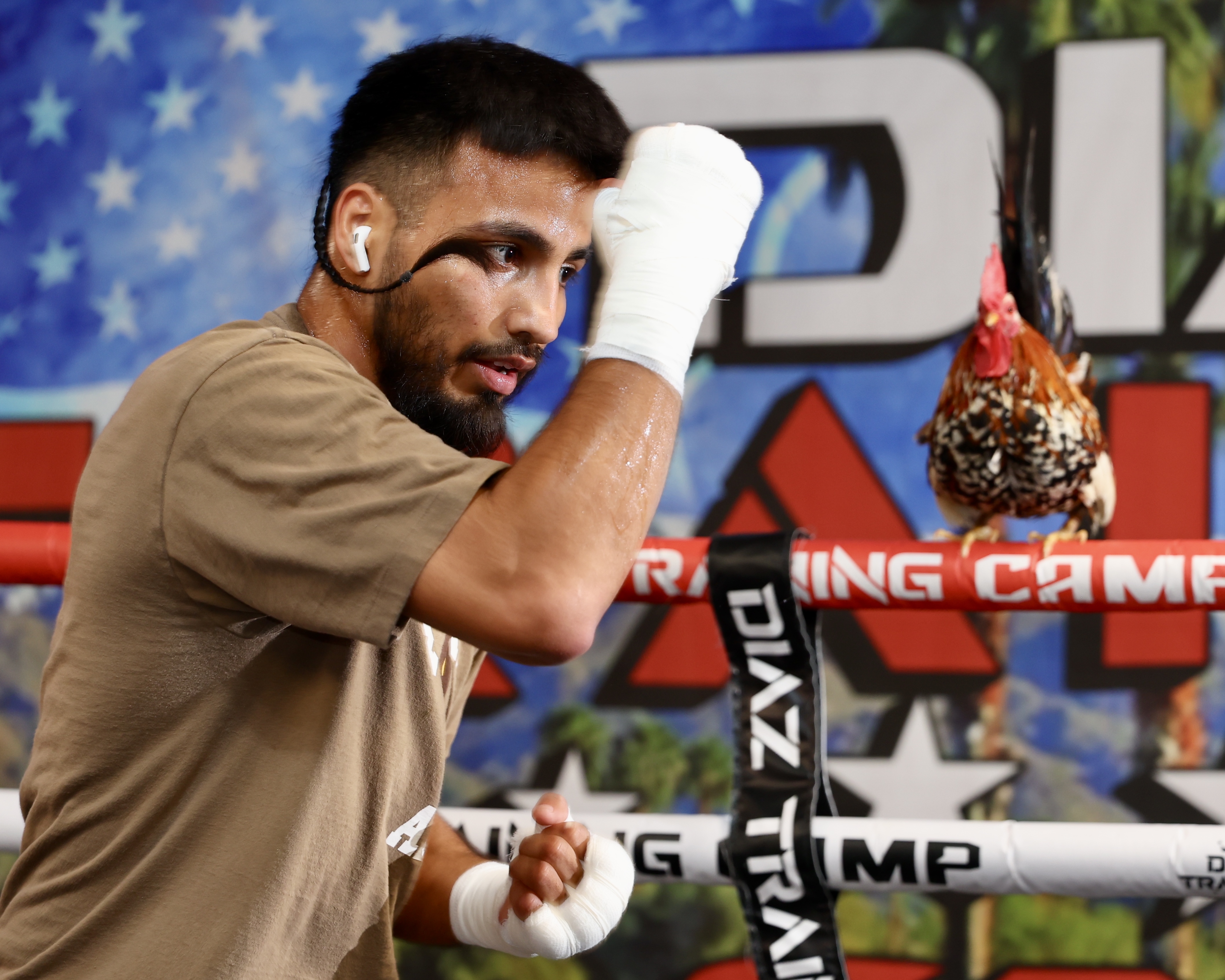 Рамон Карденас проведет бой 19 декабря Рамон Карденас проведет бой 19 декабря