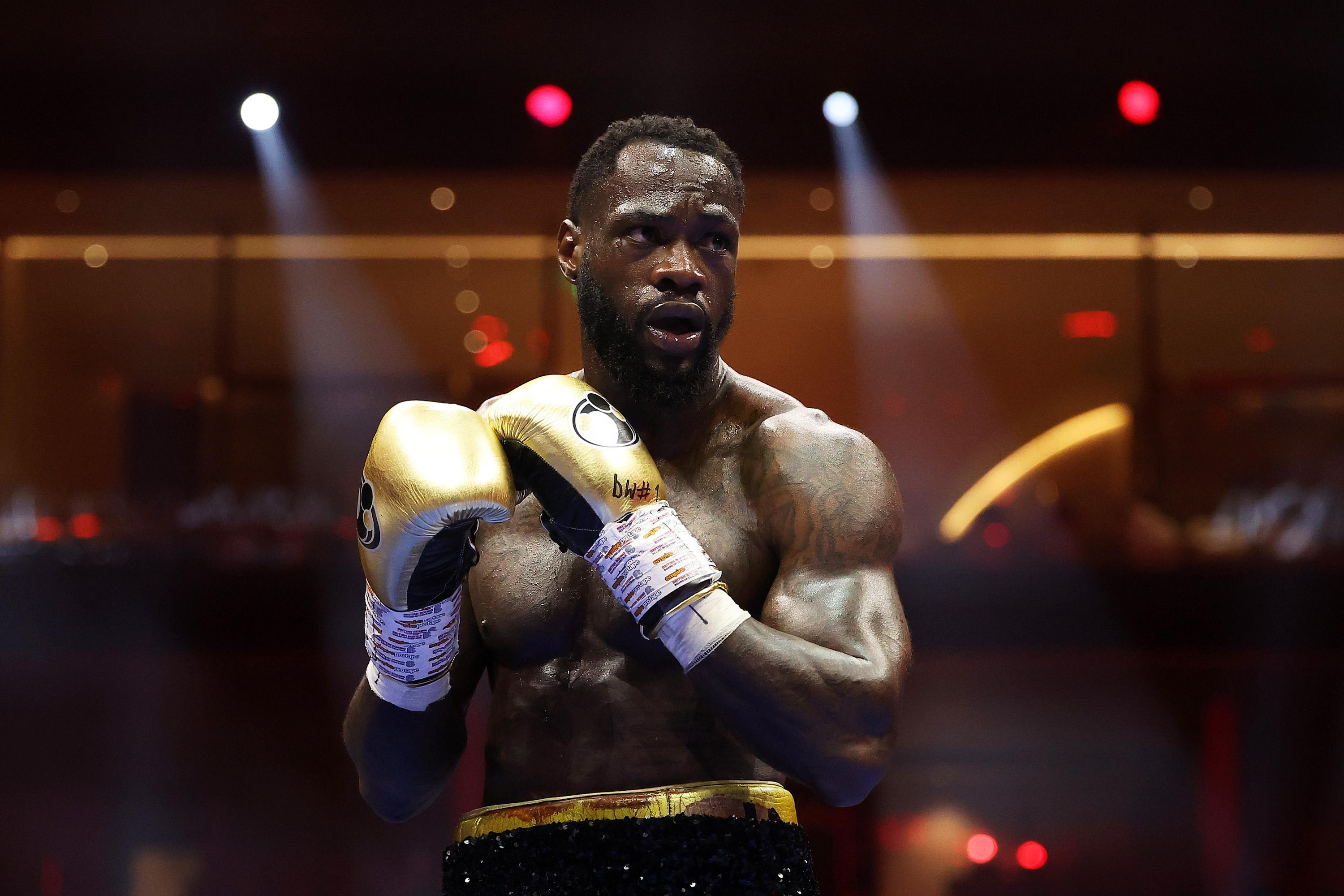 Deontay Wilder comentó sobre su victoria contra Herndon