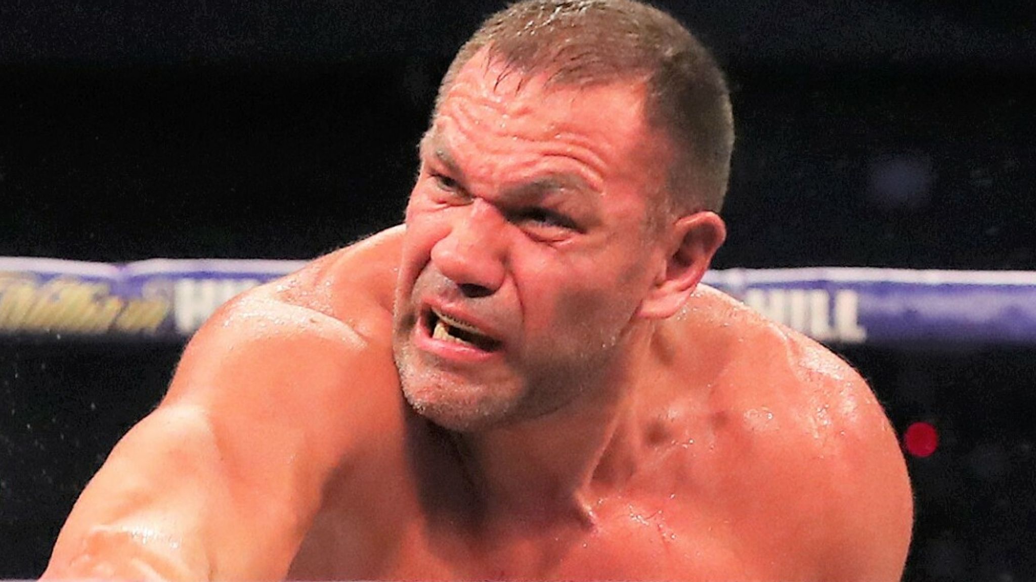 Pulev Agrees to Fight Gassiev – Insider Pulev Agrees to Fight Gassiev – Insider